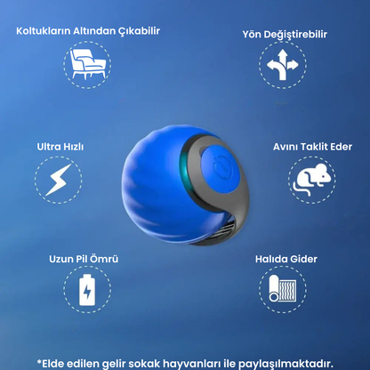 Glory Ball-2.0 Akıllı Kedi Topu