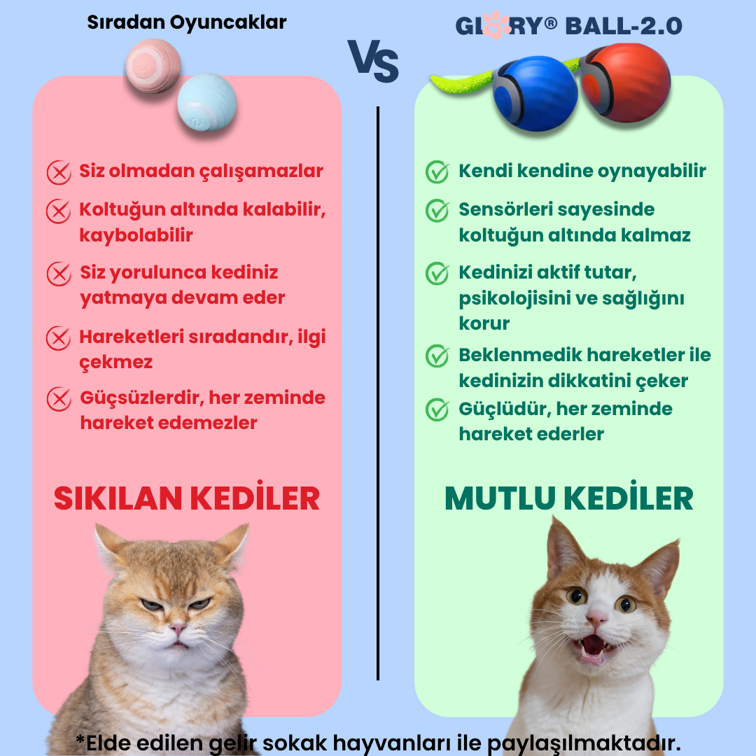Glory Ball-2.0 Akıllı Kedi Topu