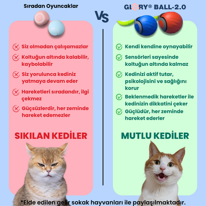 Glory Ball-2.0 Akıllı Kedi Topu