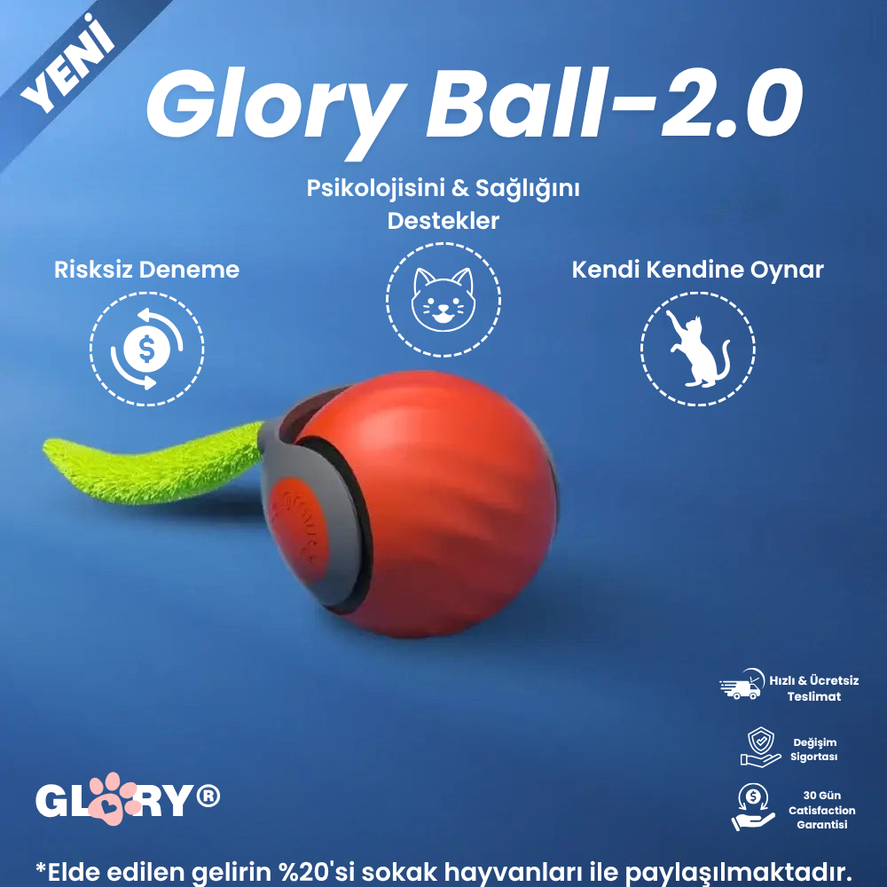 Glory Ball-2.0 Akıllı Kedi Topu