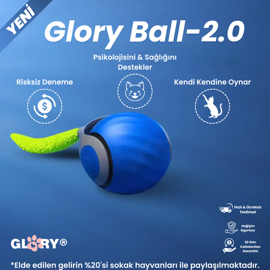 Glory Ball-2.0 Akıllı Kedi Topu