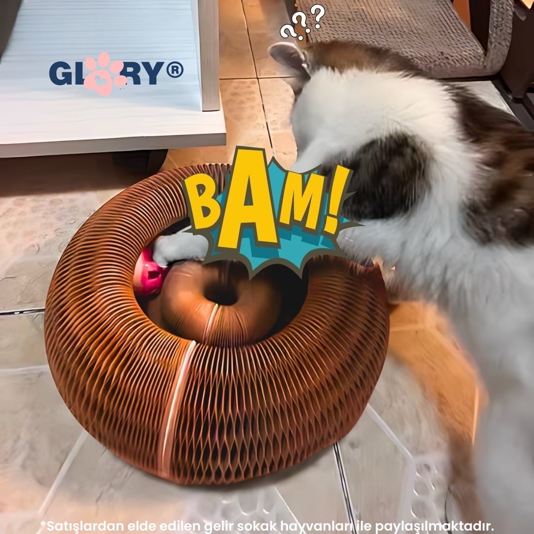 Glory Akordiyon Tırmalama Oyuncağı & Yatağı