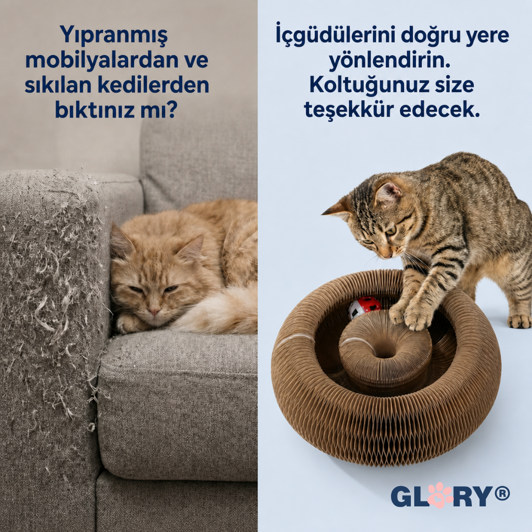 Glory Akordiyon Tırmalama Oyuncağı & Yatağı
