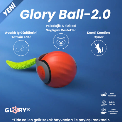 Glory Ball-2.0 Akıllı Kedi Topu