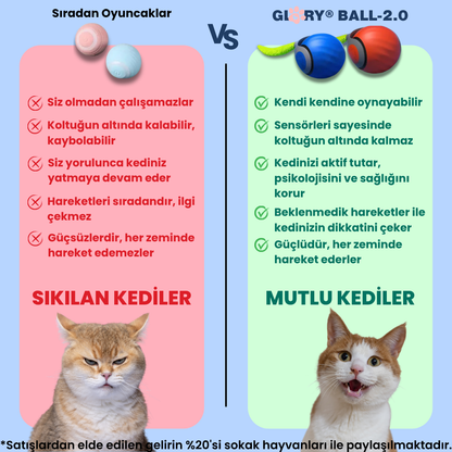 Glory Ball-2.0 Akıllı Kedi Topu
