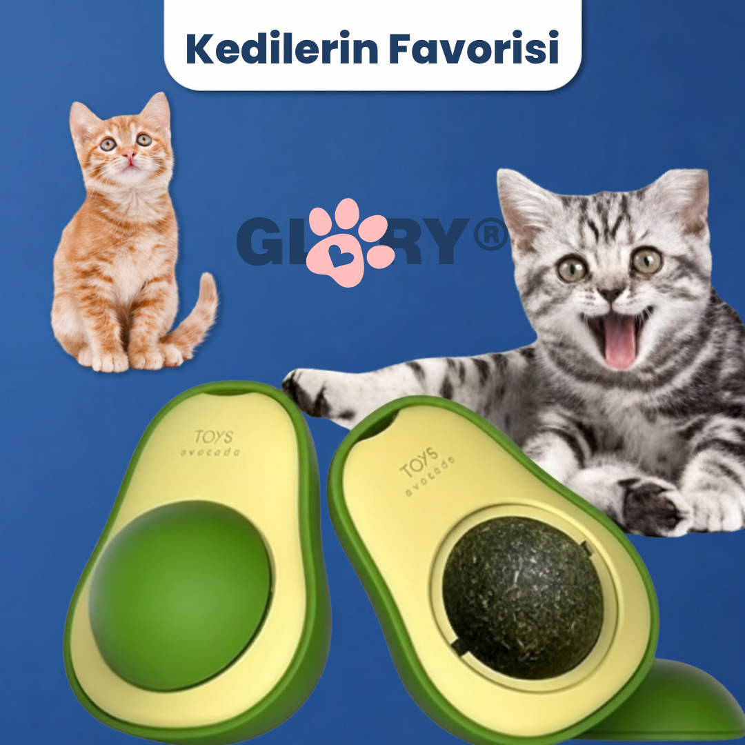 Avokado Kedi Nanesi Oyuncağı