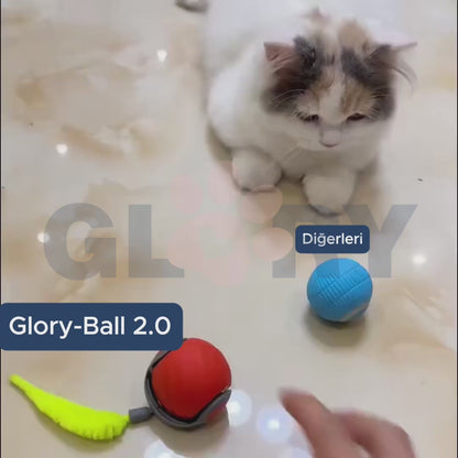 Glory Ball-2.0 Akıllı Kedi Topu
